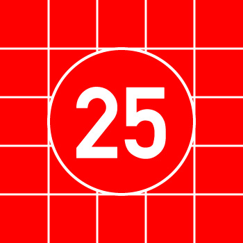 25�ʃX���C�h�p�Y��